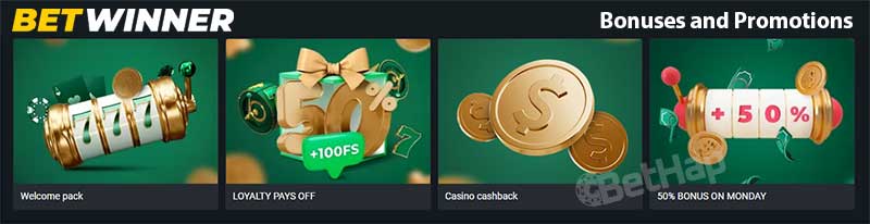 BetWinner Your Ultimate Guide to Online Betting Success